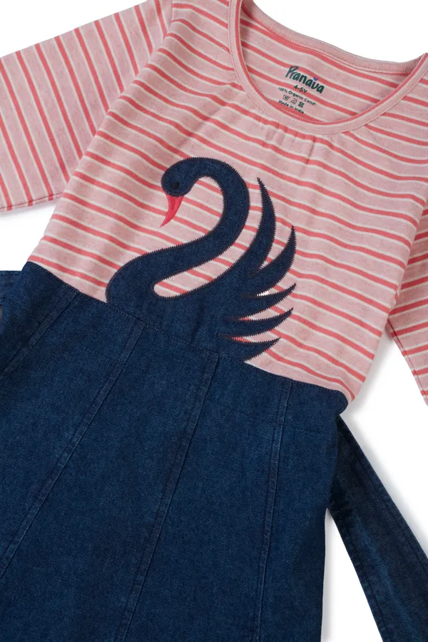 Organic_Cotton_Knits_And_Denim_Full_Sleeve_Swan_Glitter_Printed_Frock_Pink_And_Blue