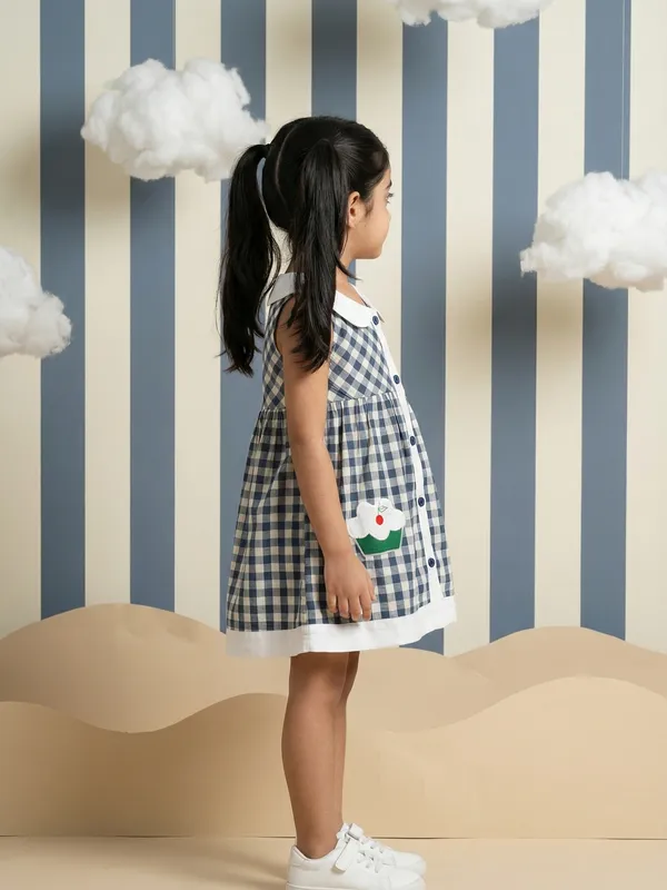 Girls_Organic_Cotton_Poplin_Sleevless_Cup_Cake_Applique_Pocket_Dress_Blue
