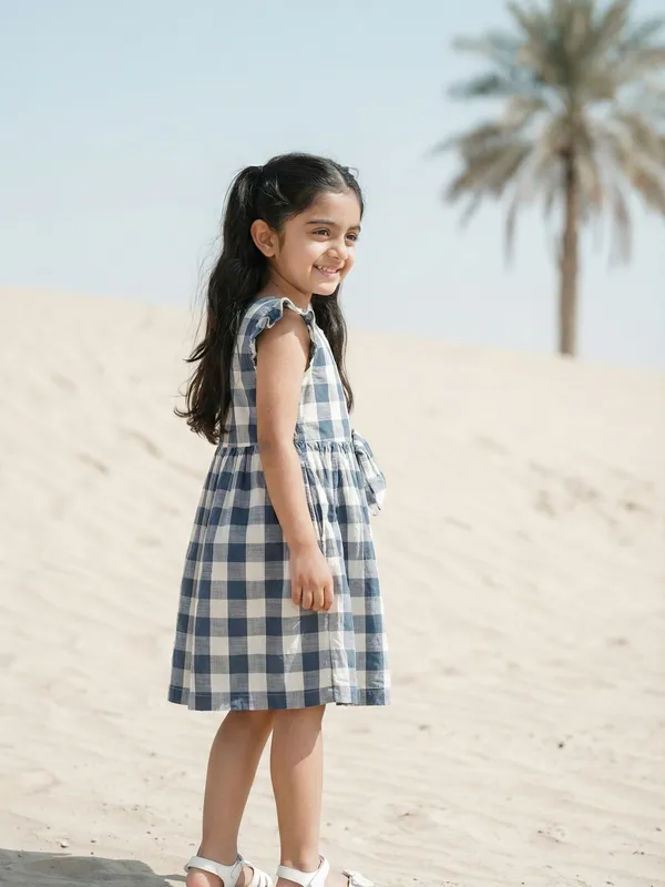 Girls_Organic_Cotton_Checks_Sleeveless_Solid_Dress_Blue