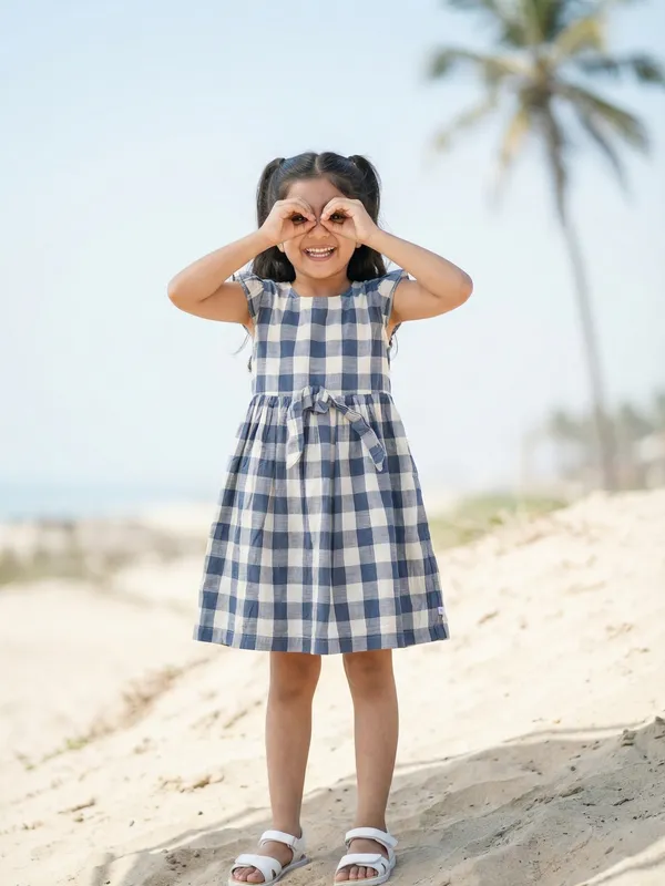 Girls_Organic_Cotton_Checks_Sleeveless_Solid_Dress_Blue