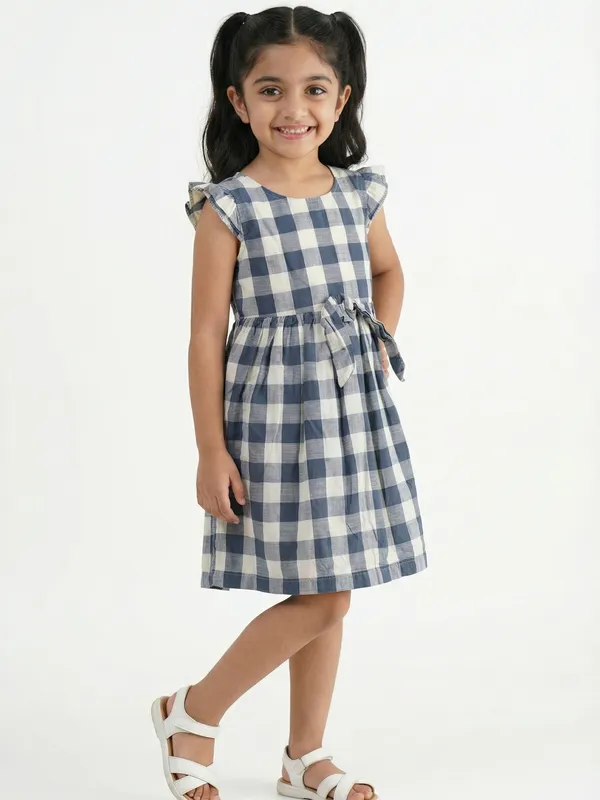 Girls_Organic_Cotton_Checks_Sleeveless_Solid_Dress_Blue
