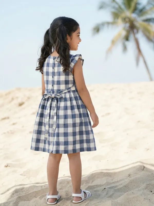 Girls_Organic_Cotton_Checks_Sleeveless_Solid_Dress_Blue