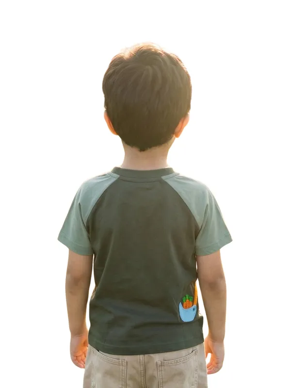 Boys_Organic_Cotton_Lycra_Jersey_Short_Sleev_Carrot_Crane_Applique_T_Shirt