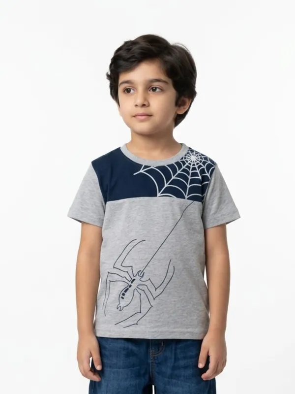 Boys_Organic_Cotton_Single_Jersey_Short_Sleeve_Spider_Print_T_Shirt_Blue