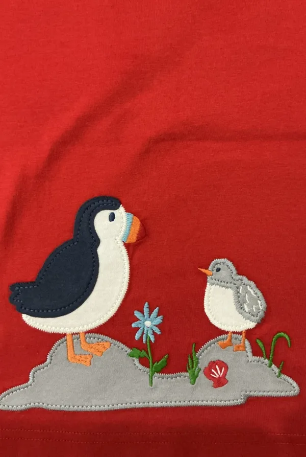 Boys_Organic_Cotton_Half__Sleeve_Applique_T-Shirt