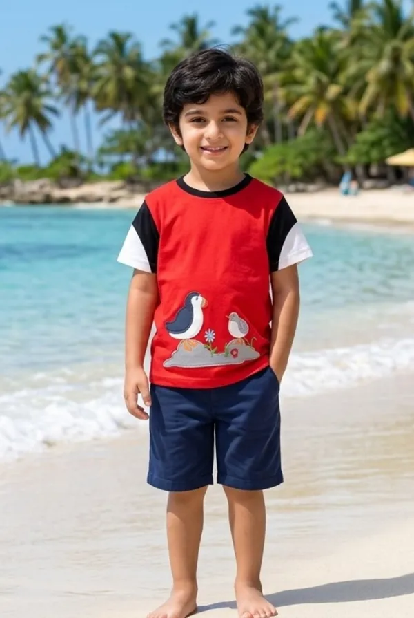Boys_Organic_Cotton_Half__Sleeve_Applique_T-Shirt