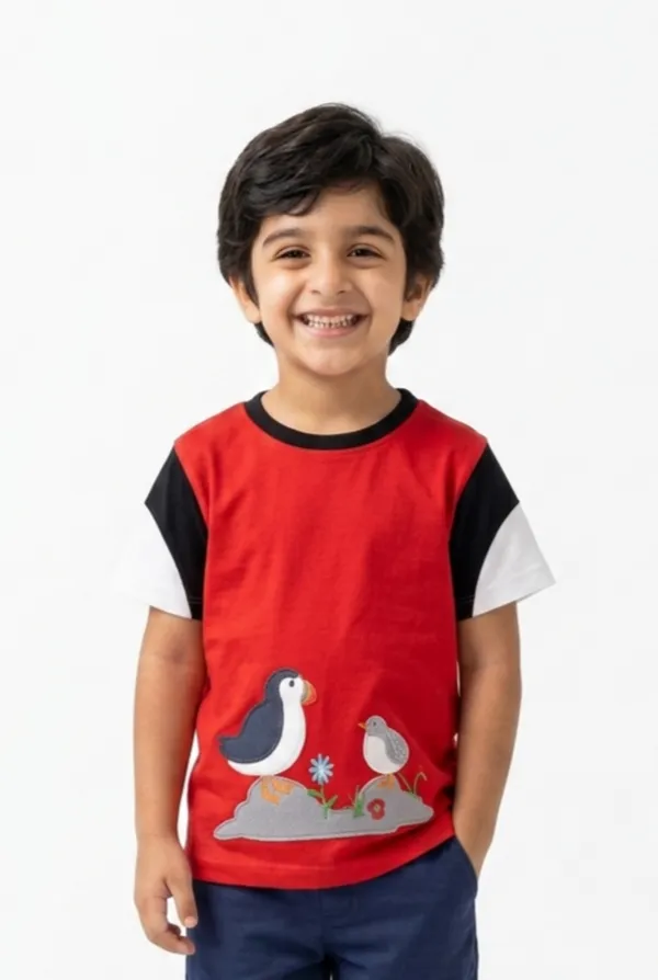 Boys_Organic_Cotton_Half__Sleeve_Applique_T-Shirt
