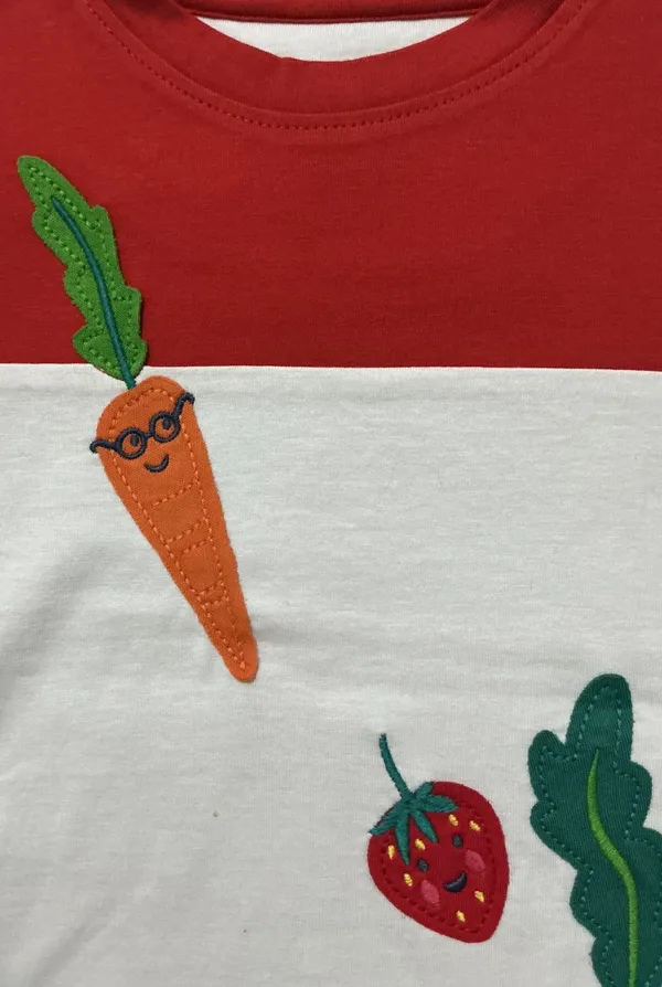 Boys_Organic_Cotton_Half__Sleeve_Applique_T-Shirt
