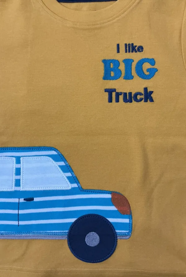 Boys_Organic_Cotton_Half__Sleeve_Applique_T-Shirt