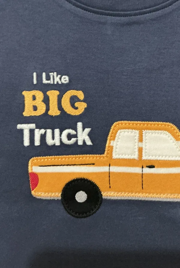 Boys_Organic_Cotton_Half__Sleeve_Applique_T-Shirt