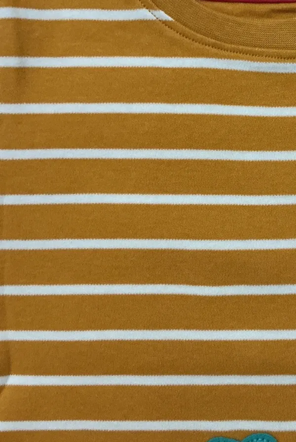 Boys_Organic_Cotton_Half__Sleeve_Applique_T-Shirt