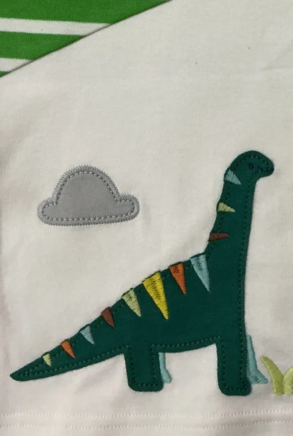 Boys_Organic_Cotton_Half__Sleeve_Embroidered_Applique_T-Shirt
