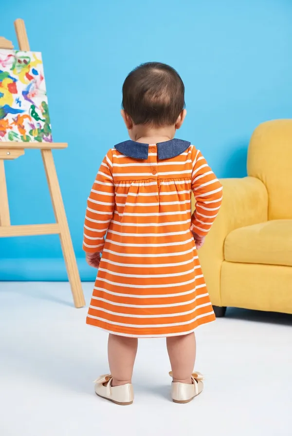 Girls_(infants)_Organic_Cotton_Full_Sleeve_Embroidered_Frock