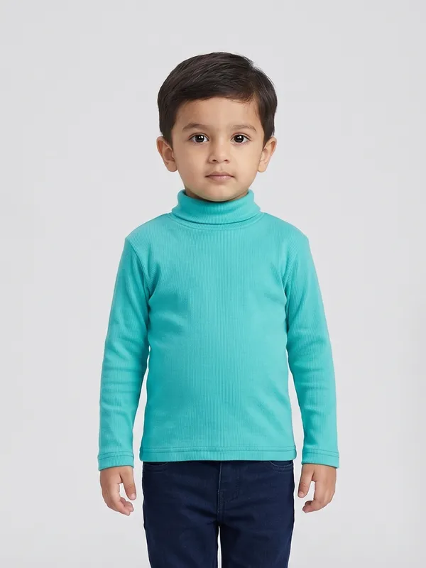 Unisex_Organic_Cotton_Full_Sleeve_Turtle_Neck__T-Shirt_-_Blue