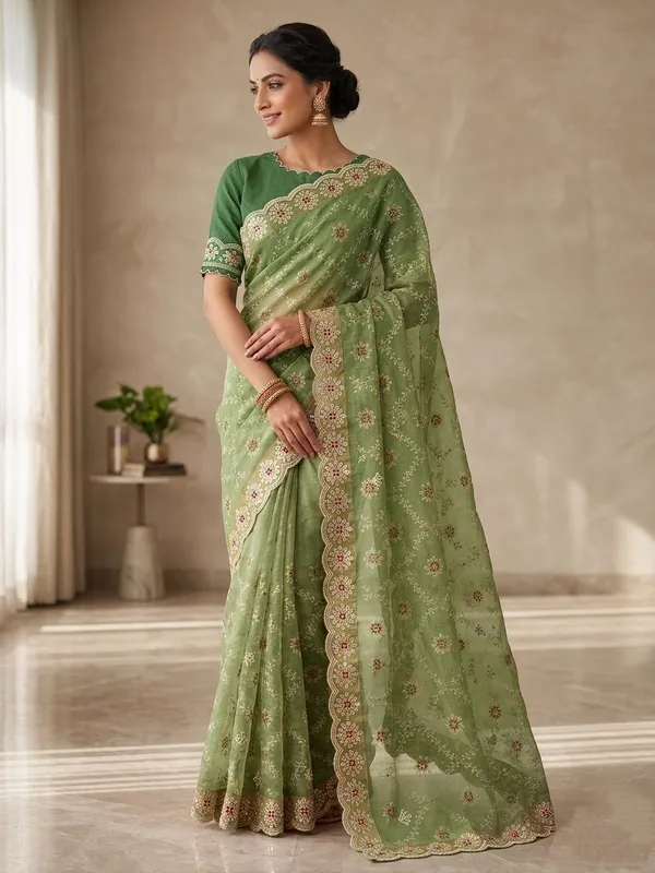 Organza_Saree_With_Embroidered_Border_And_Blouse_Green