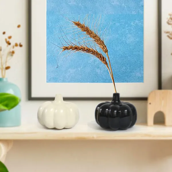 Ceramic_Pumpkin_Vase_Set_Of_2_Modern_Home_Office_Table_Decor_Vases_Living_Room_Center_Table_Ceramic_Pot_Combo_Ceramic_Planters_Pot_For_Home_Garden_Balcony_White_Black_Set_2