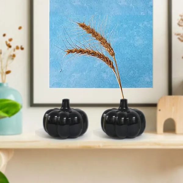 Ceramic_Pumpkin_Vase_Set_Of_2_Modern_Home_Office_Table_Decor_Vases_Living_Room_Center_Table_Ceramic_Pot_Combo_Ceramic_Planters_Pot_For_Home_Garden_Balcony_Black_Set_2