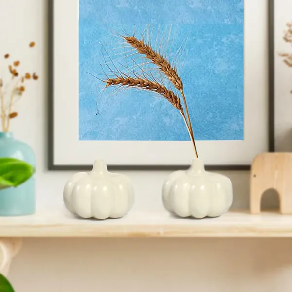 Ceramic_Pumpkin_Vase_Set_Of_2_Modern_Home_Office_Table_Decor_Vases_Living_Room_Center_Table_Ceramic_Pot_Combo_Ceramic_Planters_Pot_For_Home_Garden_Balcony_White_Set_2