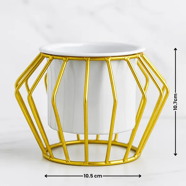 Metal_Golden_Planter_With_Stand_Flower_Pot_For_Indoor_Outdoor_Plants_Flower_Vase_Planter_Pot_Metallic_Gold_Metal_Stand_With_Planters_White_Cube_Stand