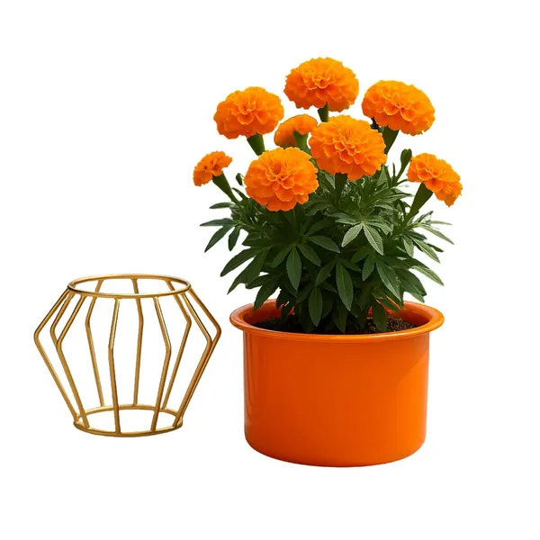 Metal_Golden_Planter_With_Stand_Flower_Pot_For_Indoor_Outdoor_Plants_Flower_Vase_Planter_Pot_Metallic_Gold_Metal_Stand_With_Planters_Orange_Cube_Stand