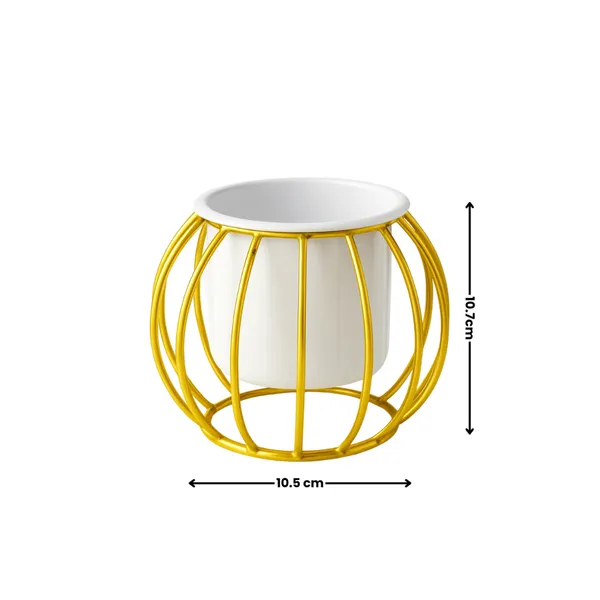 Metal_Wire_Planter_Stand_With_Plastic_Pot_Insert_Golden_Cage_Design