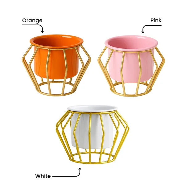 White_Ceramic_Planter_With_Gold_Geometric_Wire_Stand