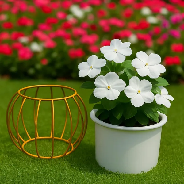 Metal_Wire_Planter_Stand_With_Plastic_Pot_Insert_Golden_Cage_Design