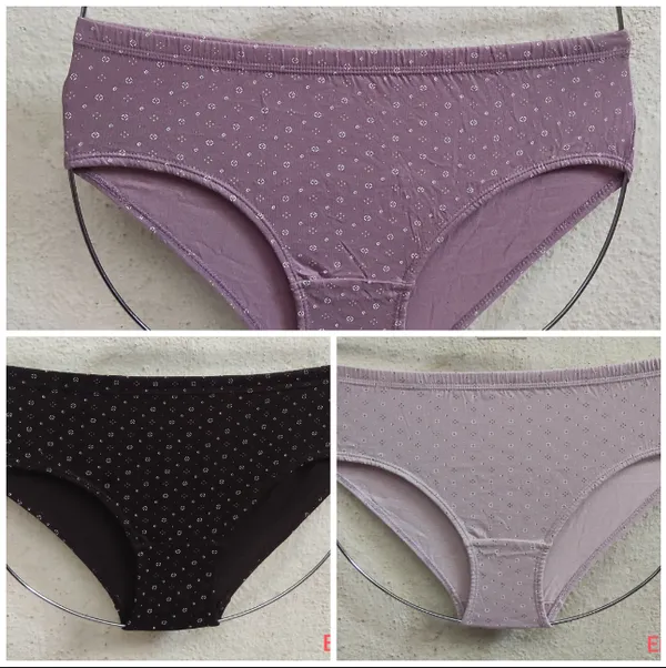 Era_IE_3_Multicolor_Cotton_Print_3_High-Waist_Panties_For_Women_Pack_Of_3