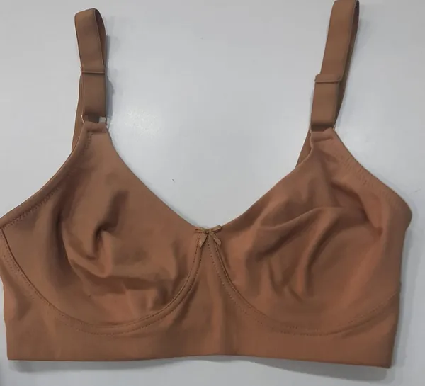 Women'S_Nude_Seamless_Underwire_Non_-Padded_Bra_With_Back_Closure