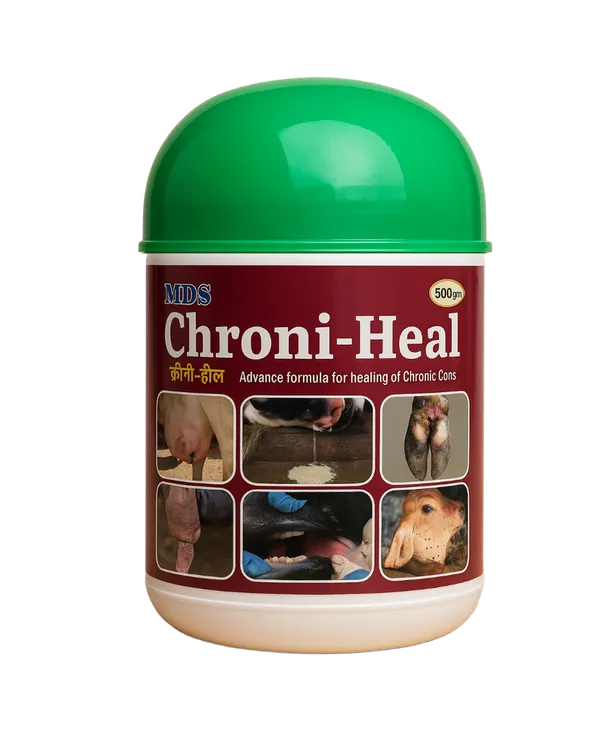Chroni_Heal