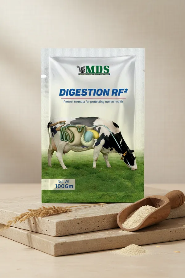 Digestion_Rf_2