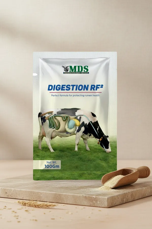Digestion_Rf_2