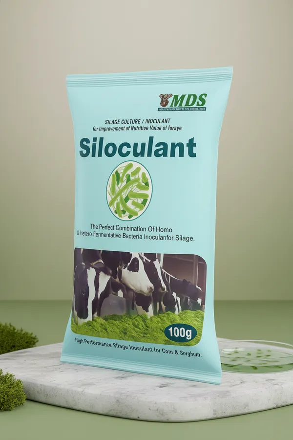 Siloculant