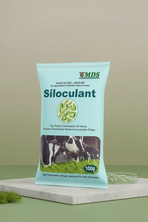 Siloculant