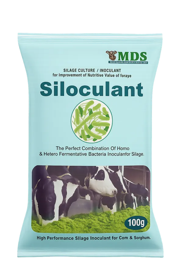 Siloculant