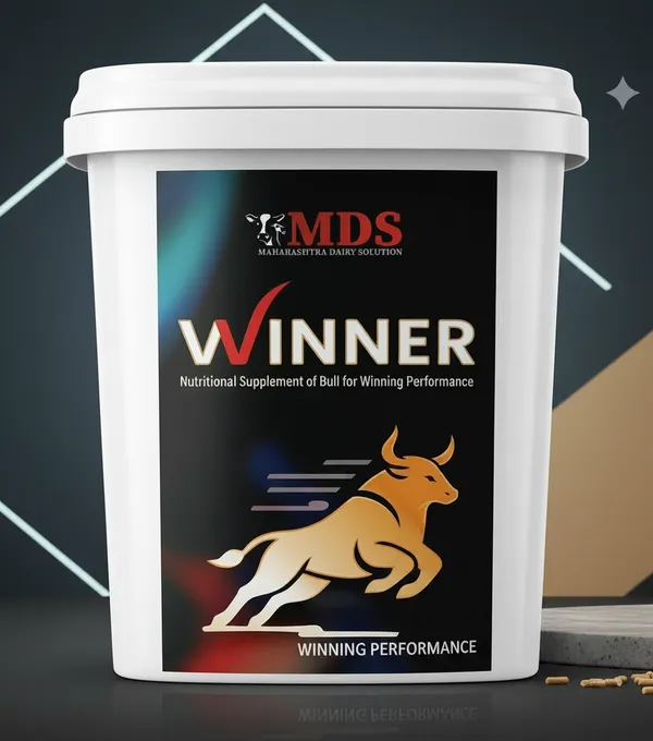 Winner