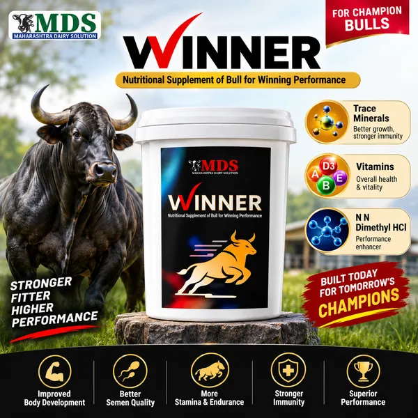 Winner