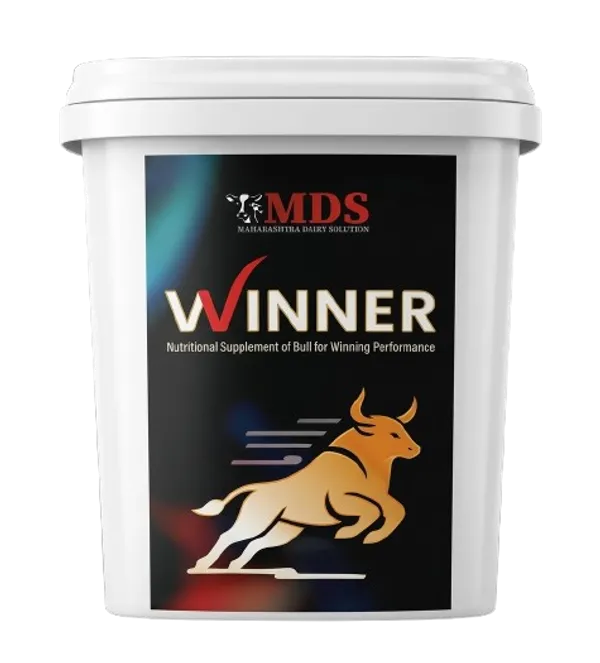 Winner