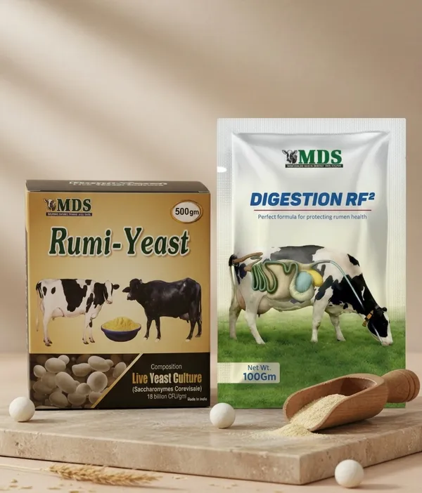 Digestion_Rf_2_And_Rumi_Yeast_Pack_Of_2