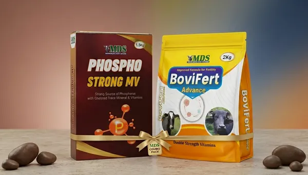 Phospho_Strong_Mv_And_Bovifert_Advance_Pack_Of_2