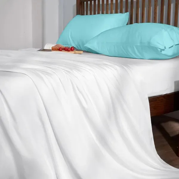 Pack_Of_2_Sky_Blue_Egyptian_Cotton_Machine_Washable_Pillow_Cover