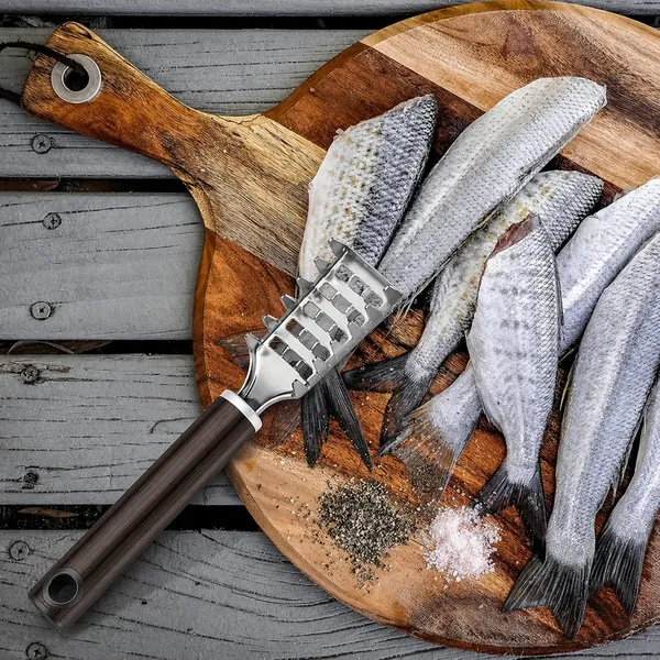 Silver_Stainless_Steel_Premium_Fish_Scaler_For_Kitchen