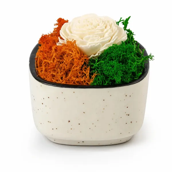 OMKARIXA_A_Quiet_Tricolour_Ceramic_Forest_Bowl,_Decorative_Nature-Inspired_Bowl_for_Home,_Living_Room,_Office,_Tabletop_&_Shelf_Decor