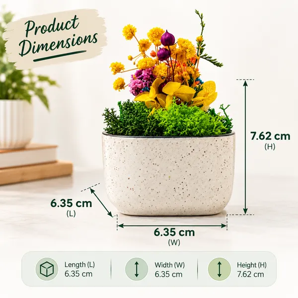OMKARIXA_Ceramic_Forest_Bowl,_Decorative_Nature-Inspired_Bowl_for_Home_Decor,_Tabletop_Styling,_Living_Room,_Office_&_Shelf_Decoration