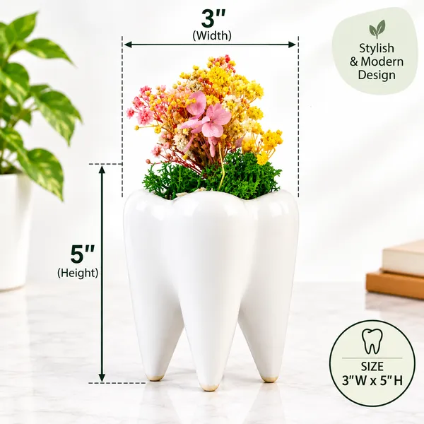 OMKARIXA_Ceramic_Tooth_Flower_Pot,_Decorative_Planter_for_Succulents,_Small_Plants,_Home,_Office,_Desk_&_Table_Decor