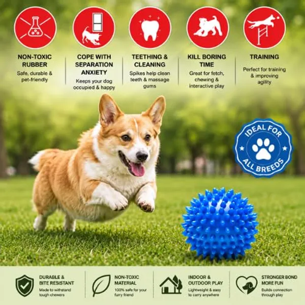 Spike_Ball