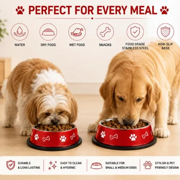 Pets_Stainless_Steel_Feeding_Bowl_for_Dogs_&_Cats