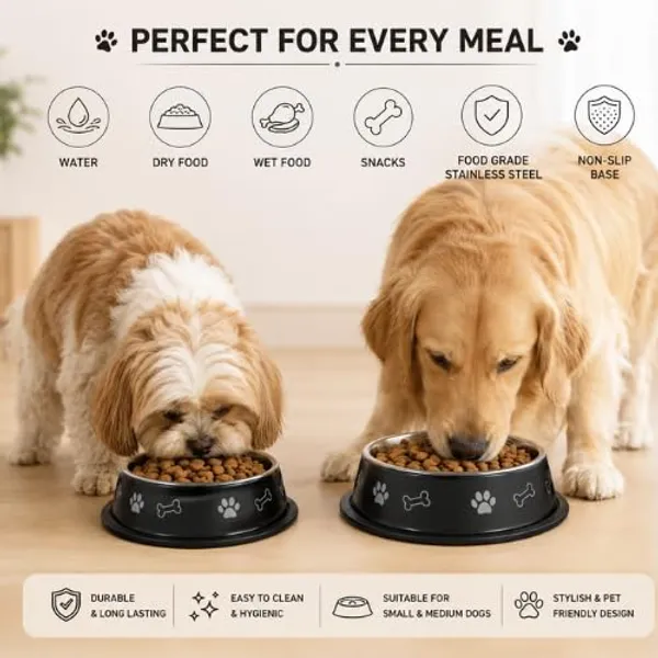 Pets_Stainless_Steel_Feeding_Bowl_for_Dogs_&_Cats
