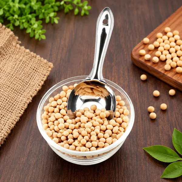 OMKARIXA_Stainless_Steel_Scoop_Spoon_for_Flour,_Grain,_Dry_Foods,_Candy_&_Spices_|_Small_Silver_Scoop_for_Grocery_Shop,_Kitchen_&_Storage_Containers