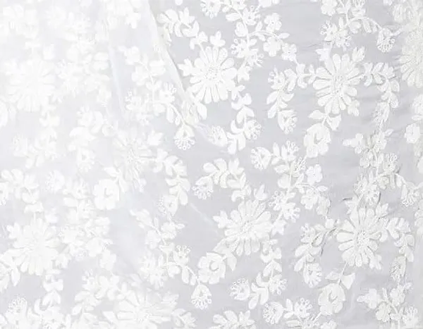 Women_Embroidered_Chiffon_Dupatta